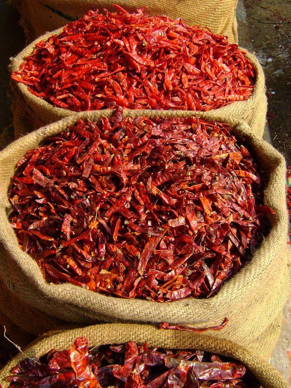  Premium Chilli
